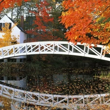 River, Home, autumn, bridge