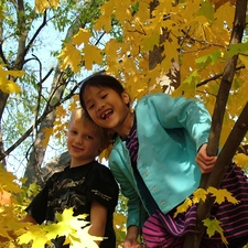 autumn, Kids, trees