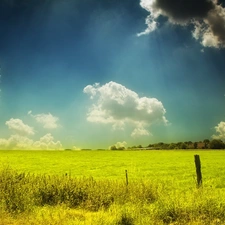 clouds, Field, grass