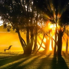 Sunrise, forest, Bench, rays