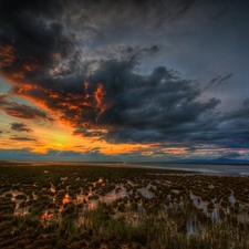 clouds, swamp, Great Sunsets
