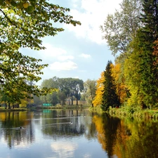 trees, viewes, autumn, lake, Park
