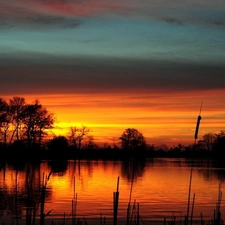 viewes, Great Sunsets, rushes, trees, lake