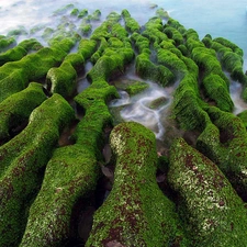 water, Stones, Moss