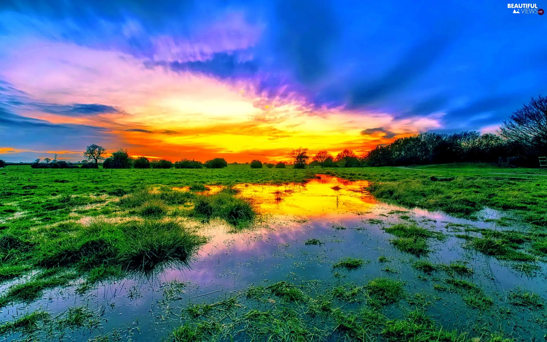clouds, Meadow, trees, viewes, Great Sunsets, swamp