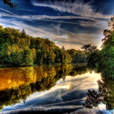 reflection, River, woods