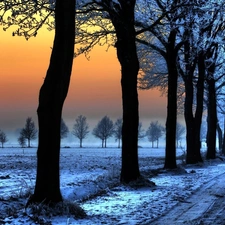 winter, trees, viewes, Way
