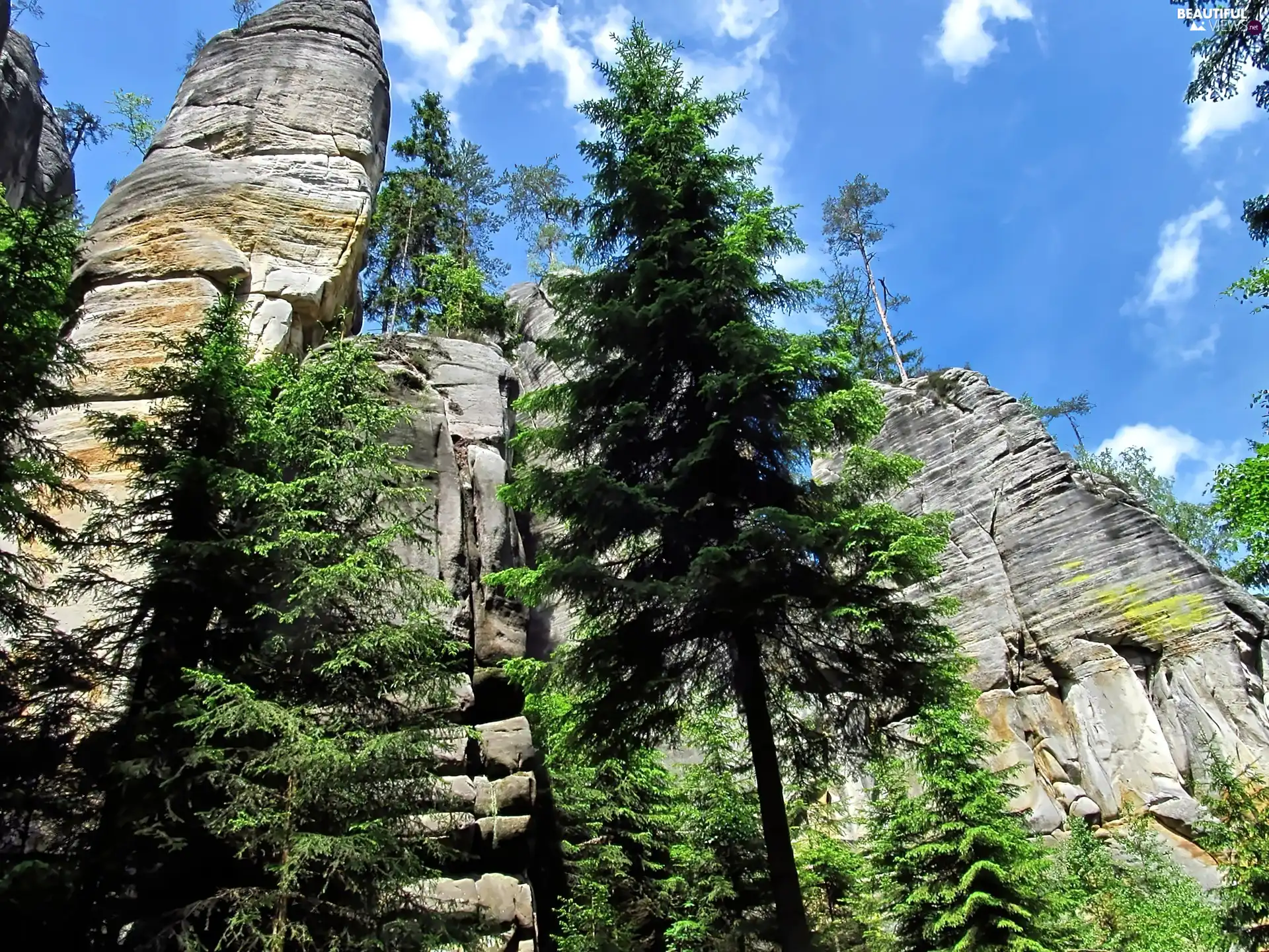 Adrspach, rocks, trees, viewes, Czech Republic, Rock City