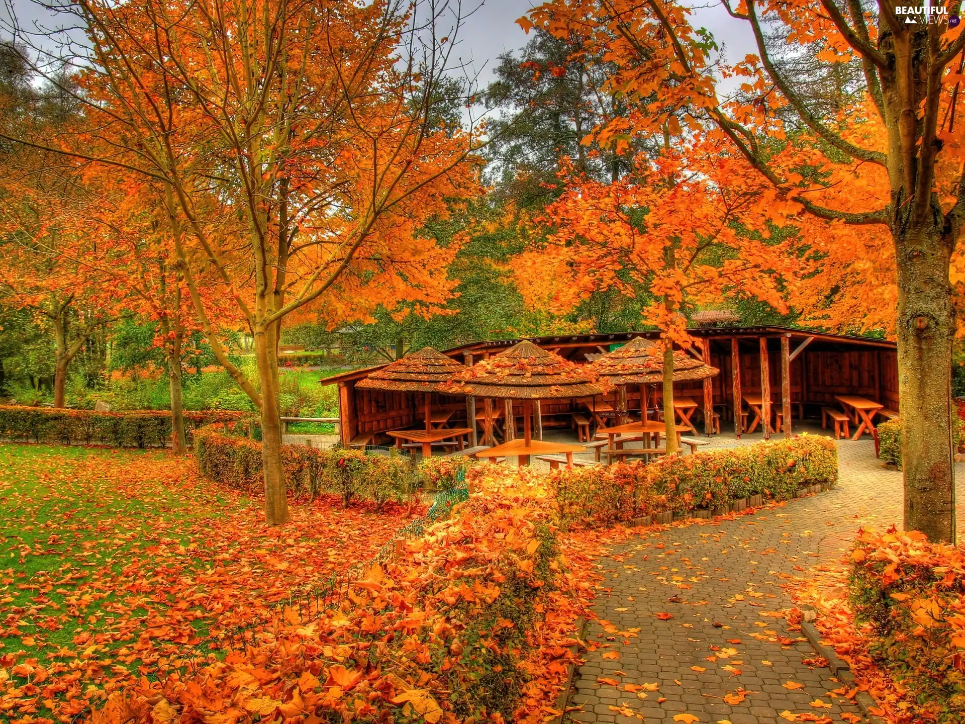 Park, alley, arbour, Autumn