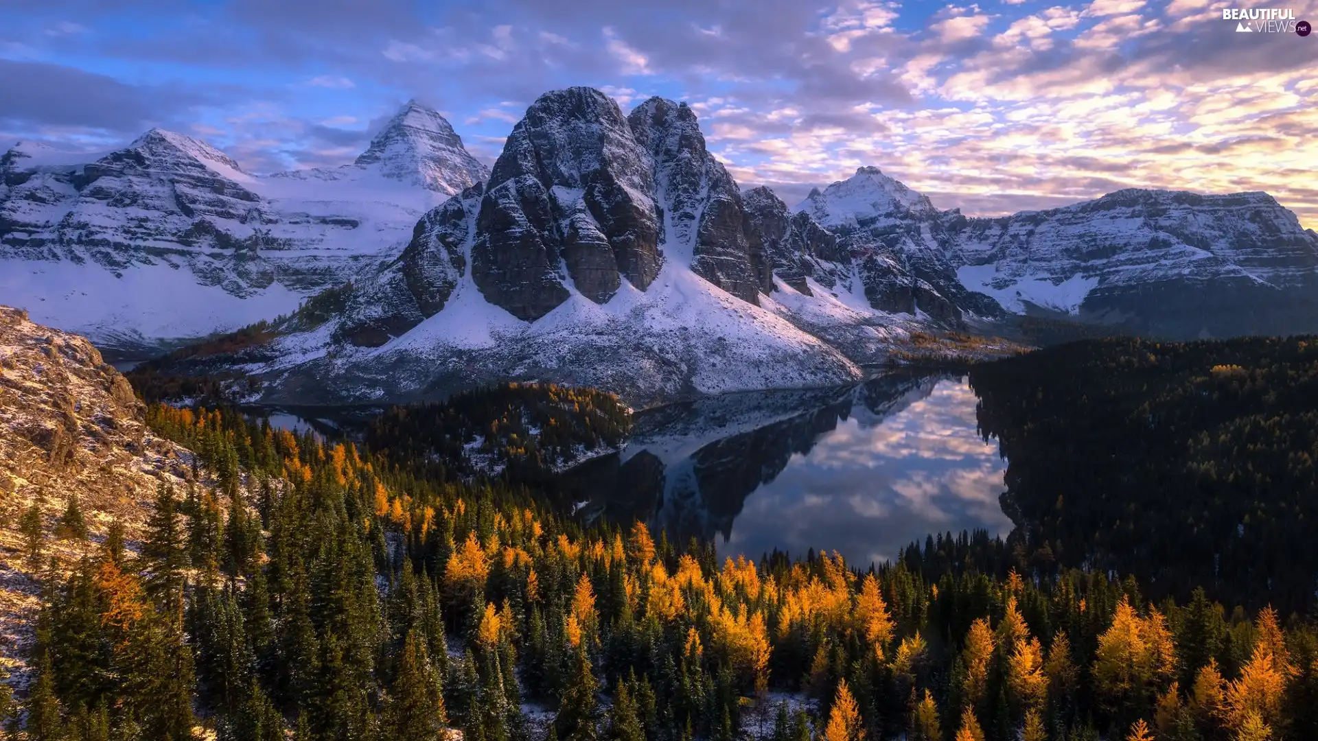 Snowy, Mount Assiniboine Provincial Park, Mountains, Mount Assiniboine, British Columbia, Canada, trees, viewes, Sunburst Lake