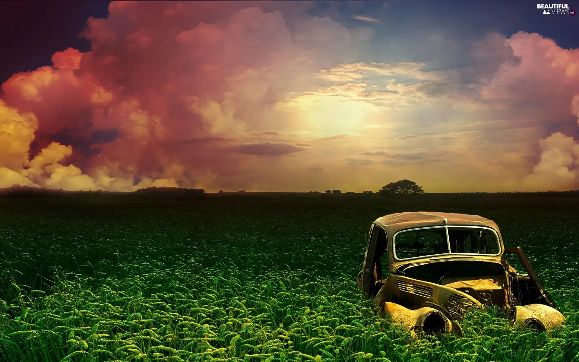 Automobile, Retro, sun, cereals, west