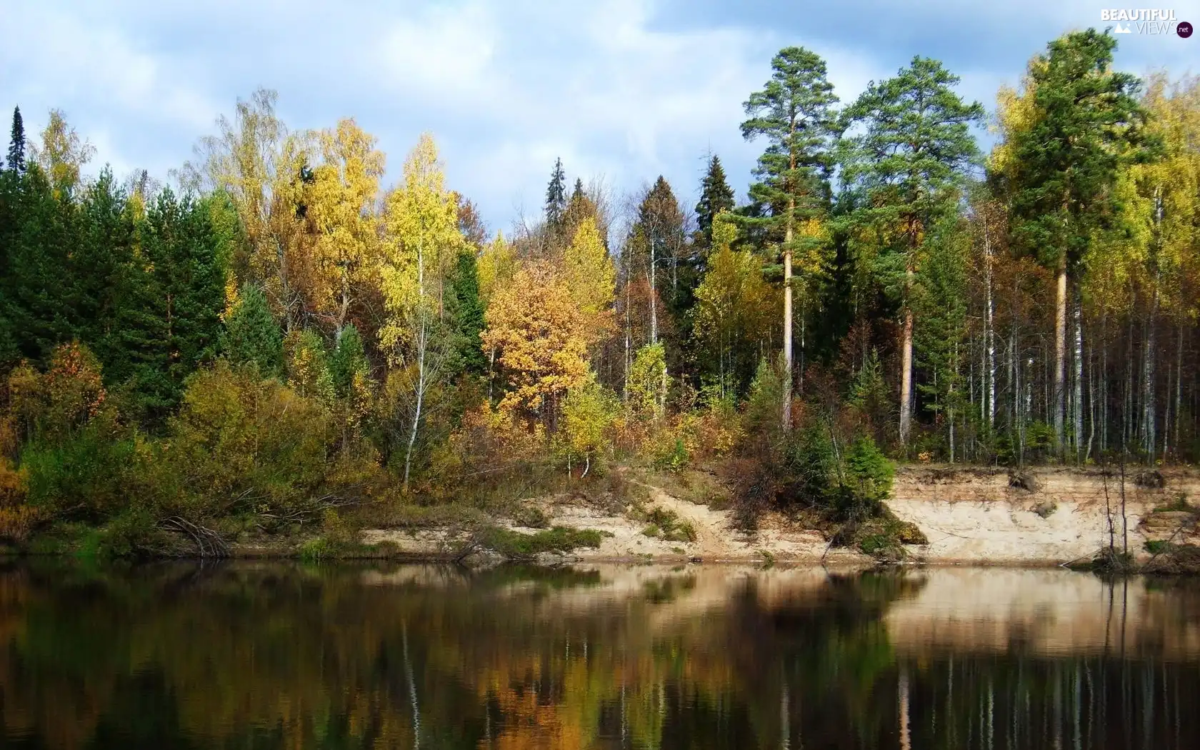 autumn, lake, forest