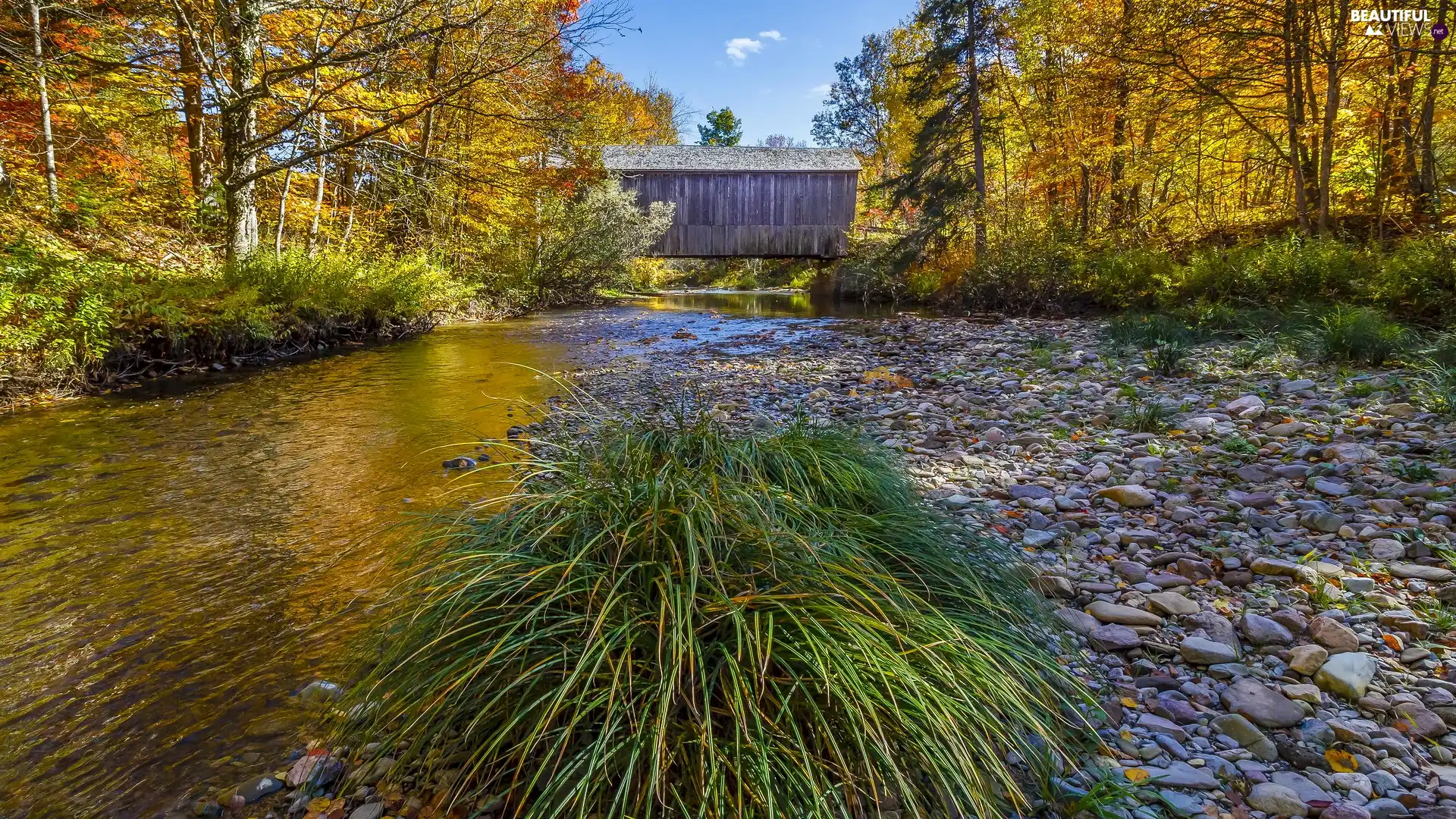 autumn, River, trees, viewes, covered, bridge, grass, wooden, cluster