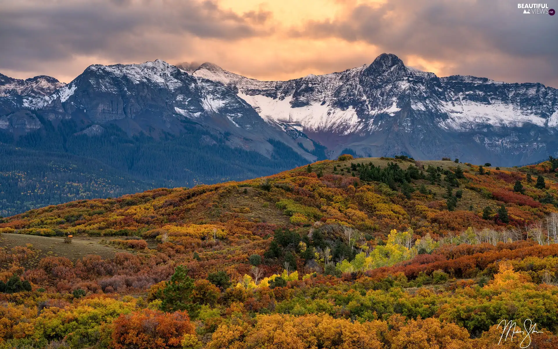 forest, Mountains, viewes, autumn, trees, Hill