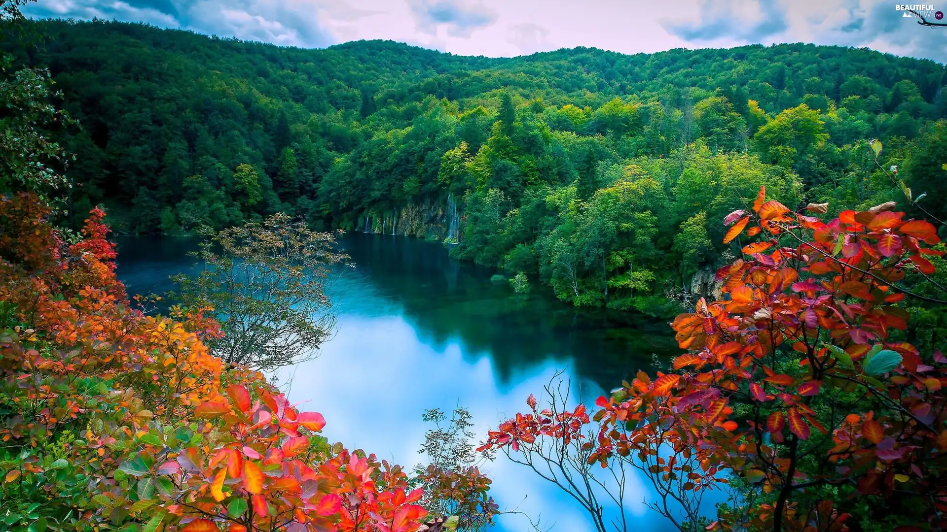 autumn, forest, lake