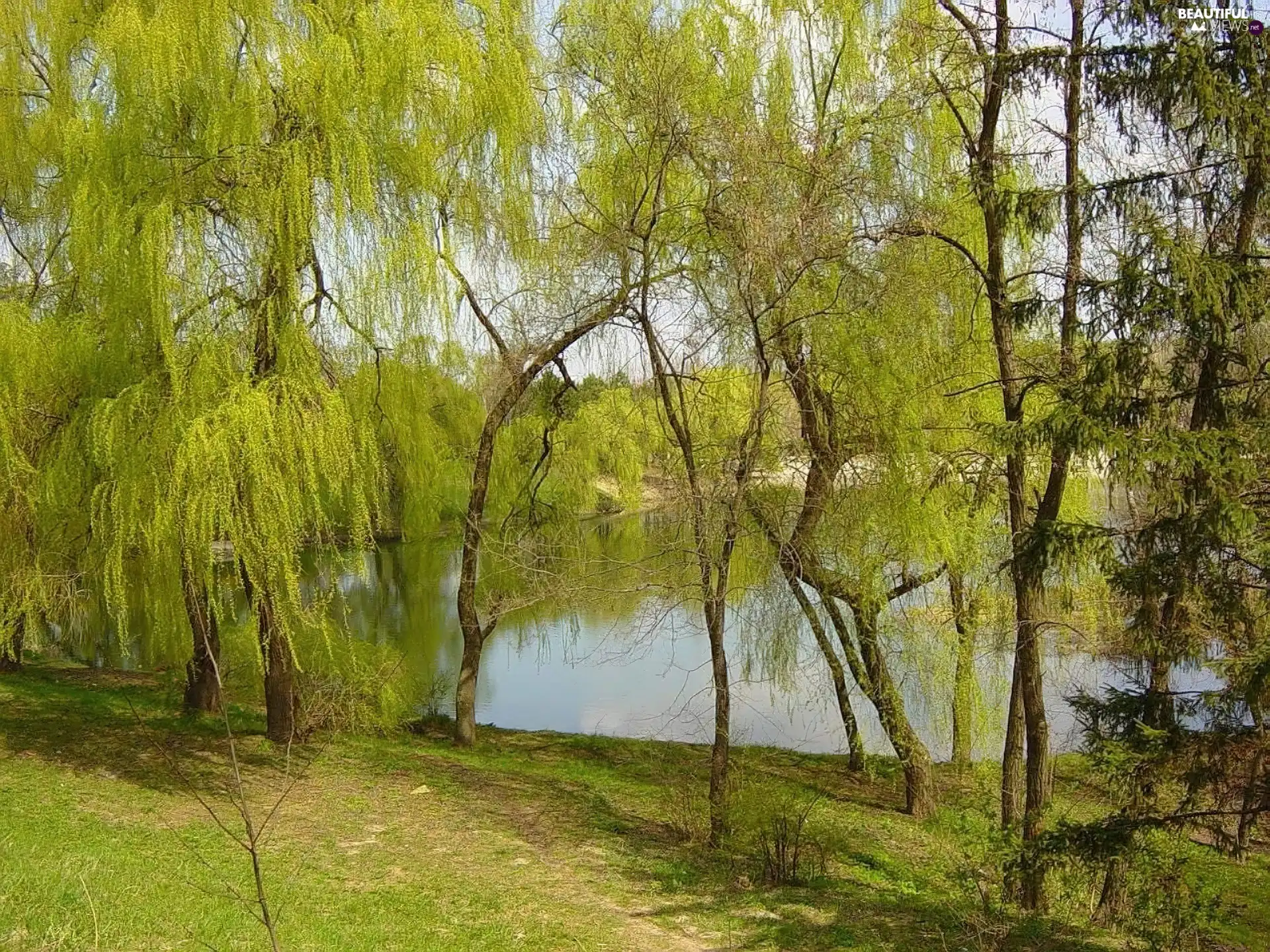 lake, viewes, autumn, trees