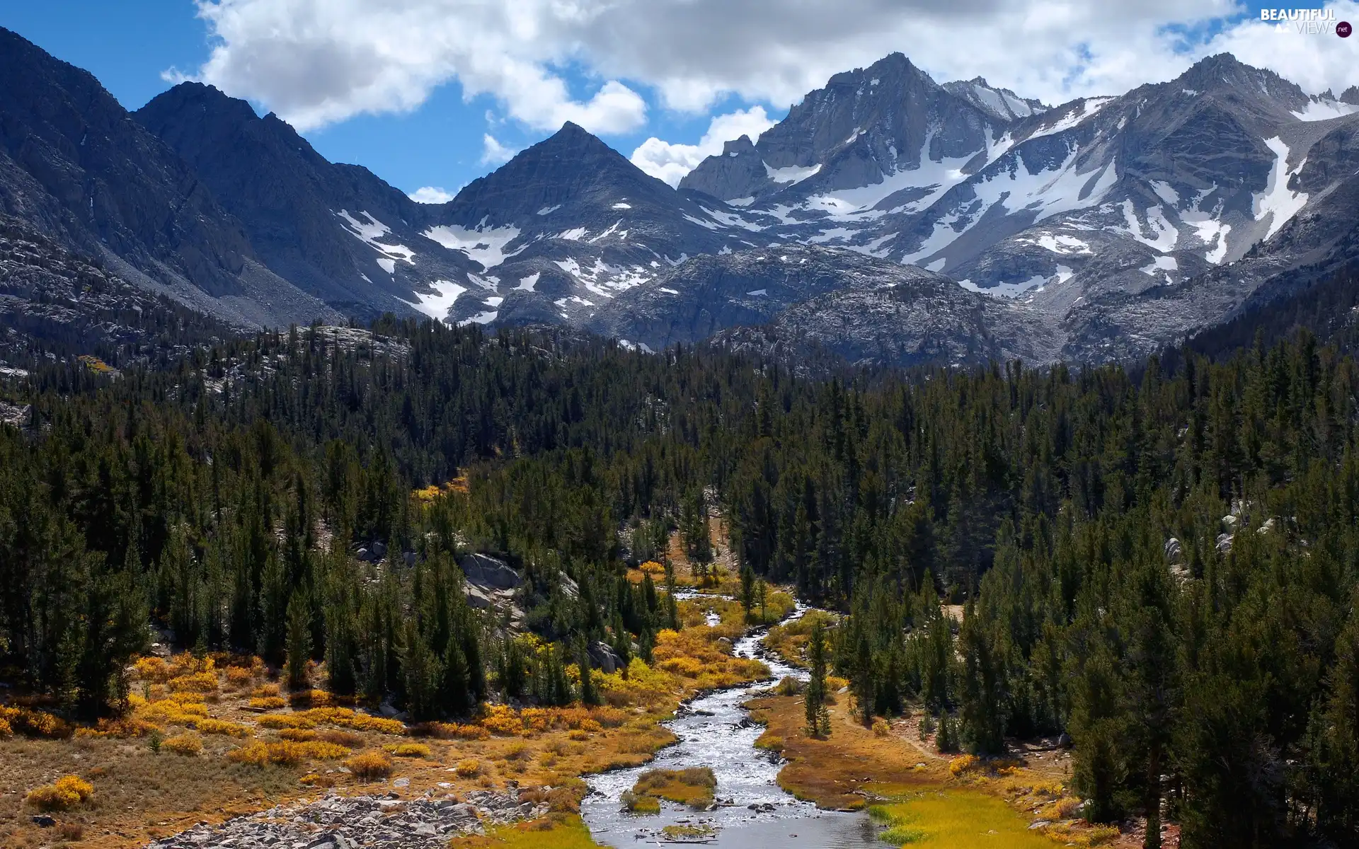 Mountains, stream, autumn, woods