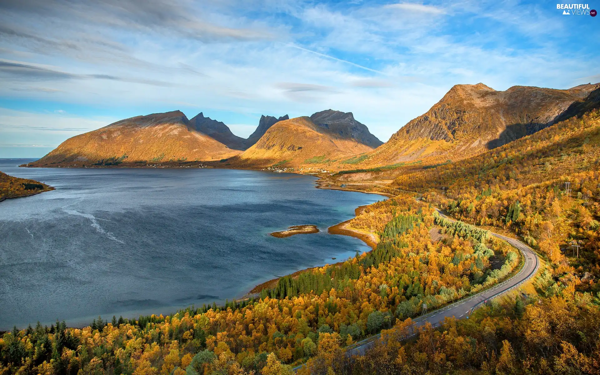 forest, sea, Mountains, viewes, The Hills, autumn, Way, Sky, trees, coast