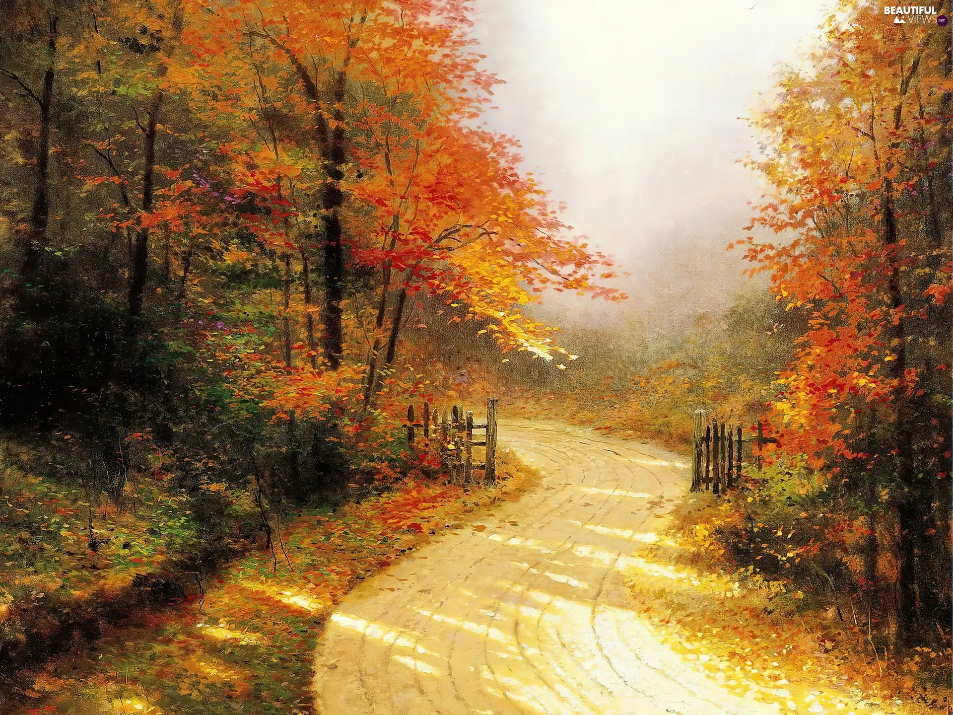 Autumn, picture, Way