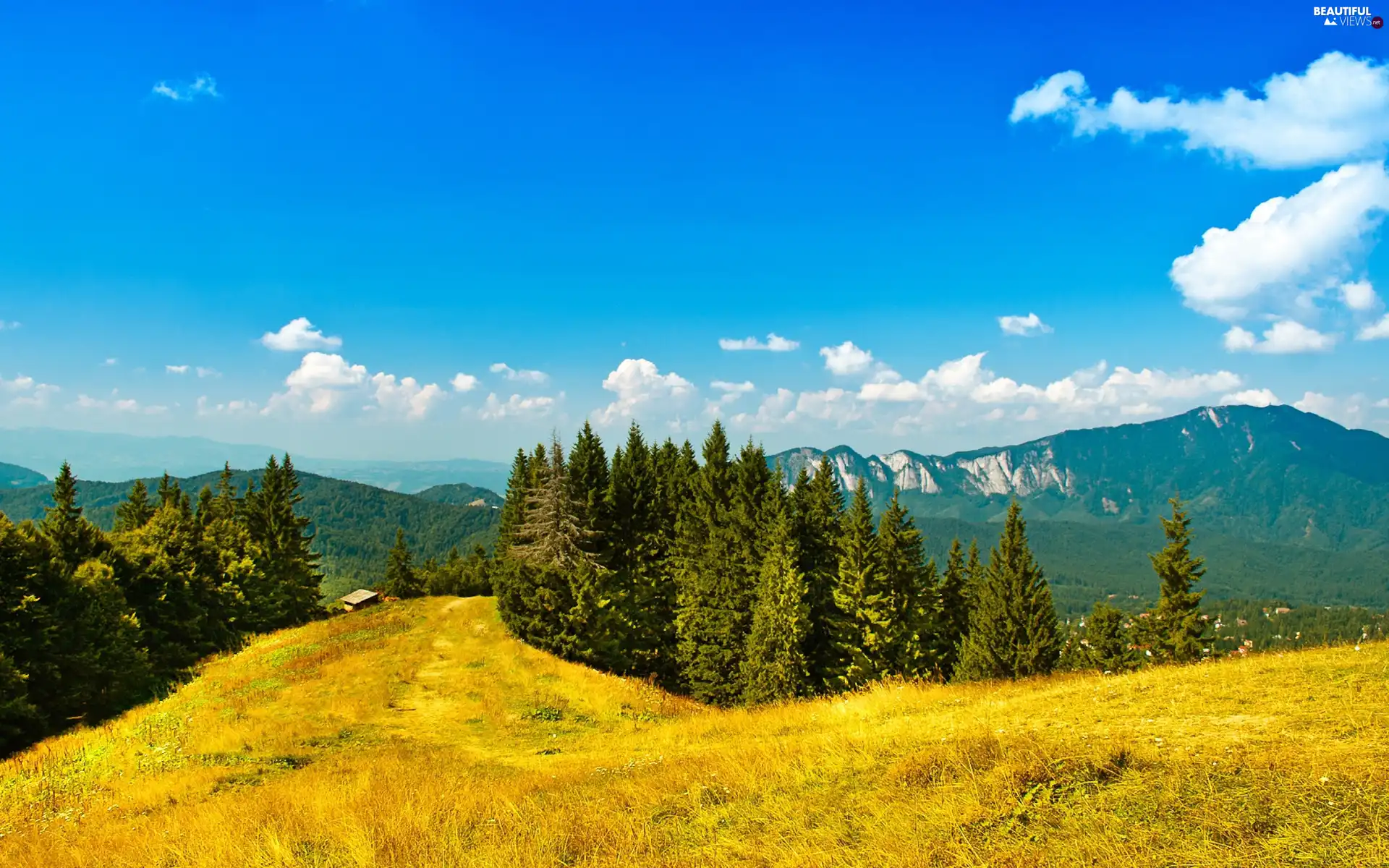 autumn, Mountains, woods