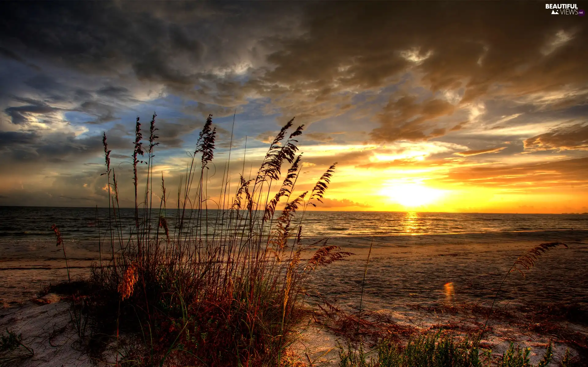 Beaches, grass, sun, sea, west