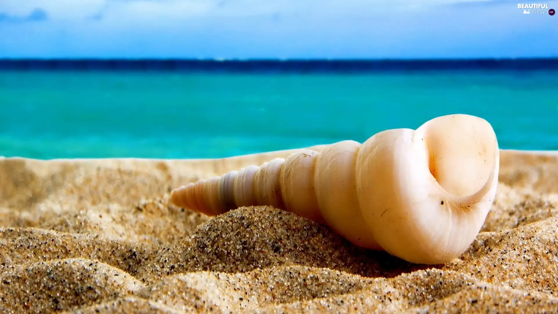 Beaches, shell, Sand