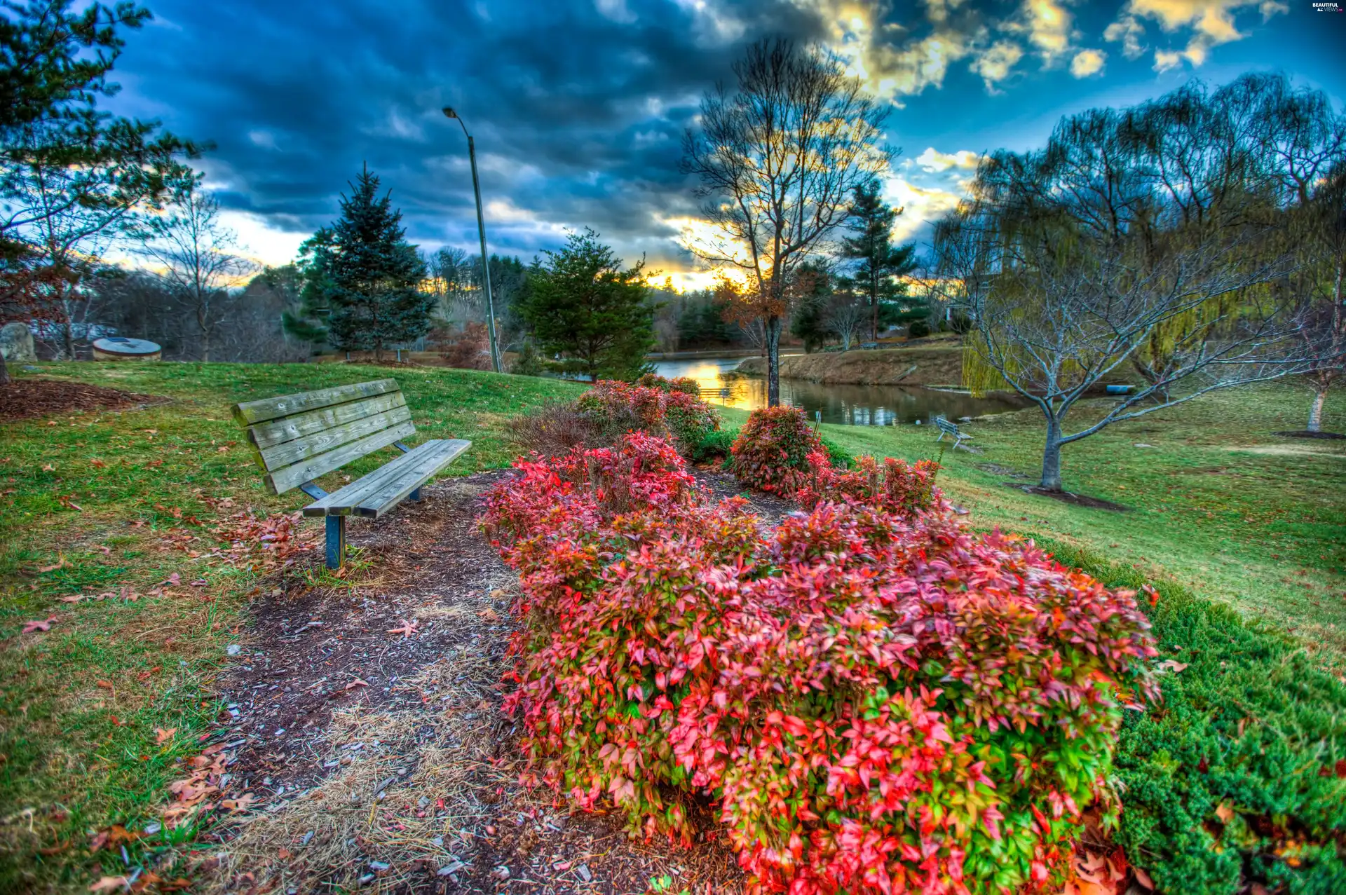 Bench, Park, lake