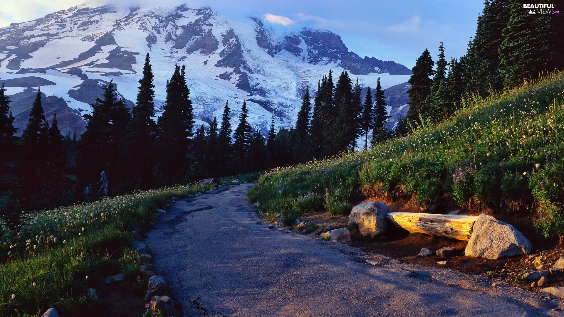 Mountains, Way, Bench, woods