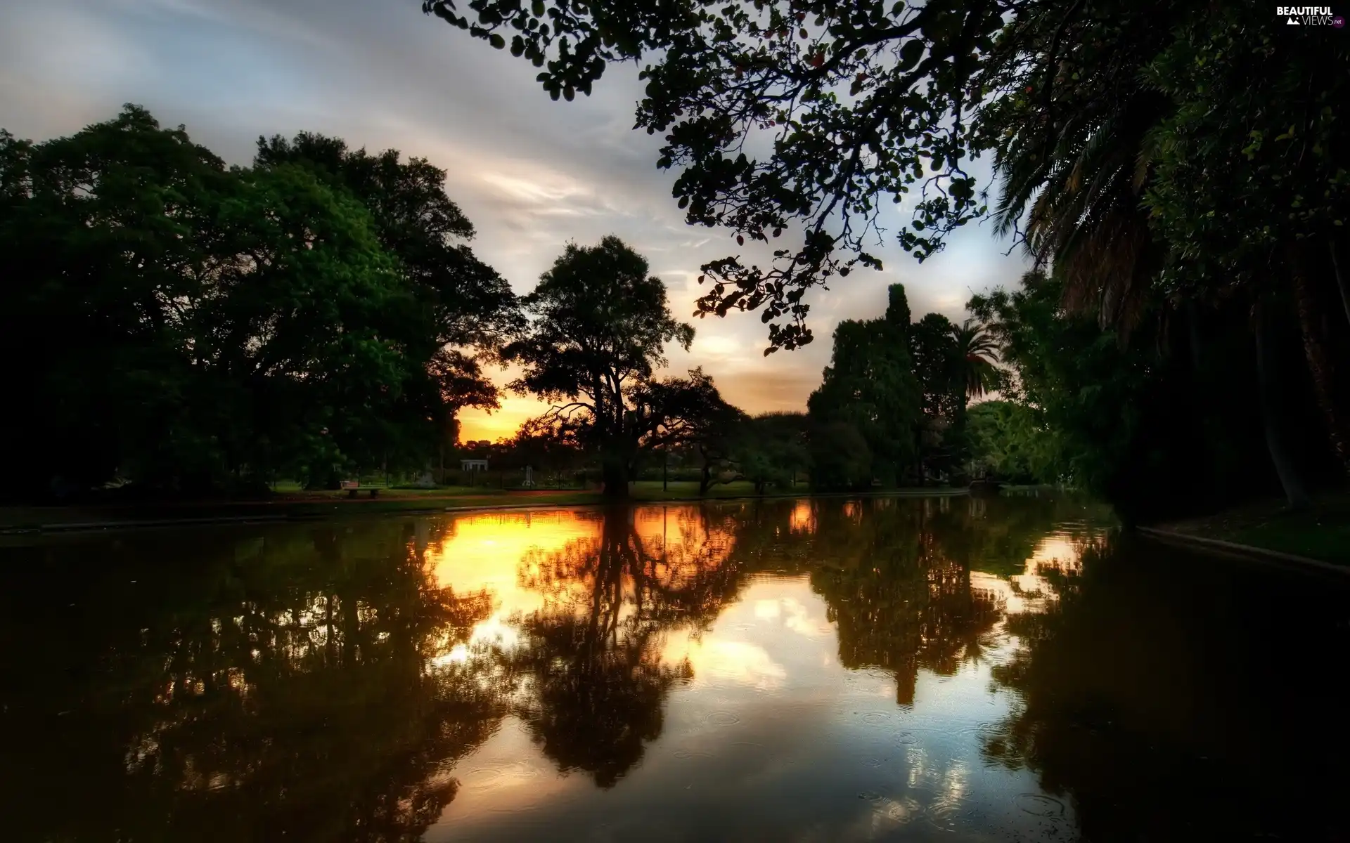 River, viewes, Bench, trees