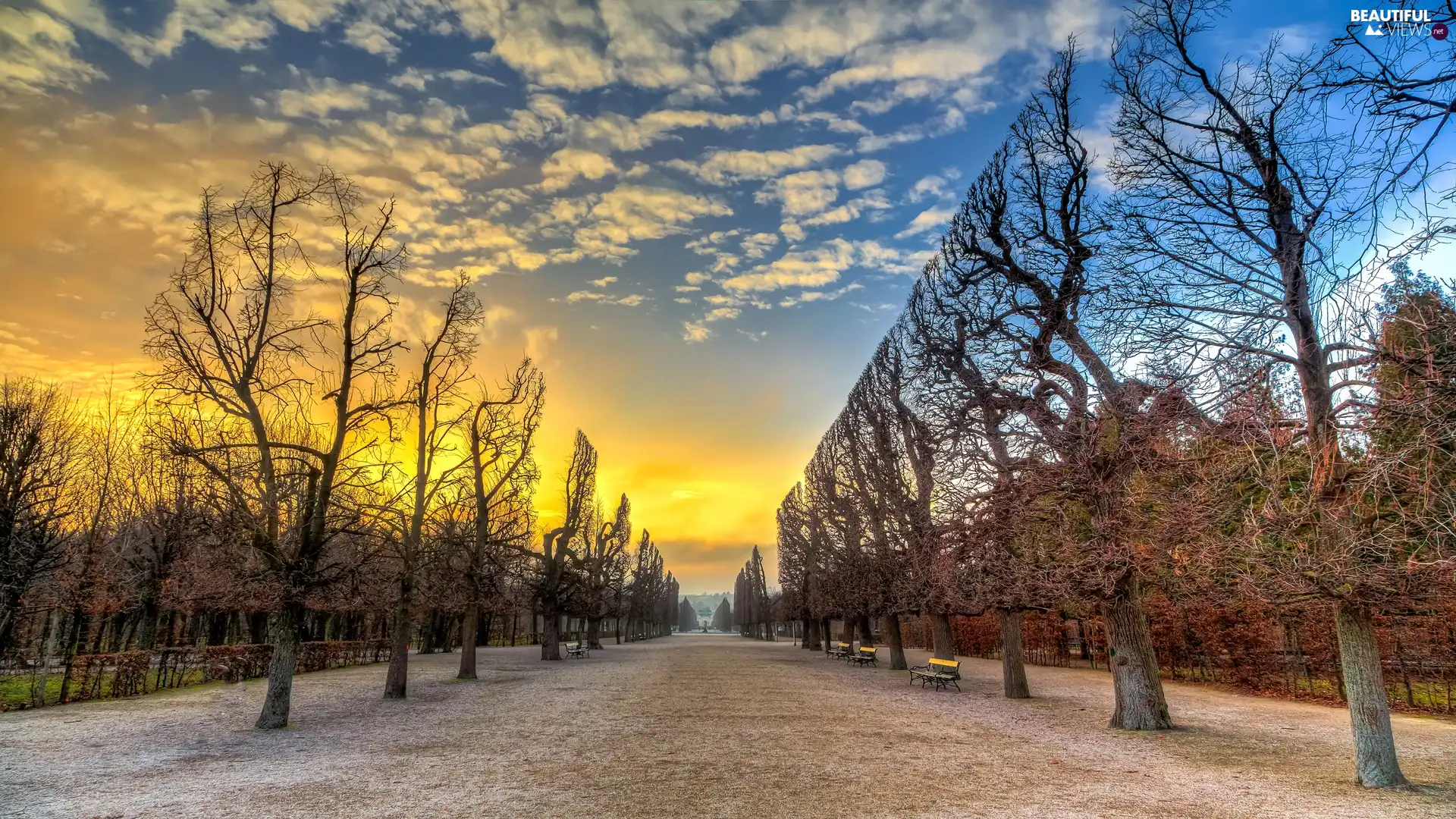 Trimmed, autumn, viewes, bench, Park, trees, Sunrise