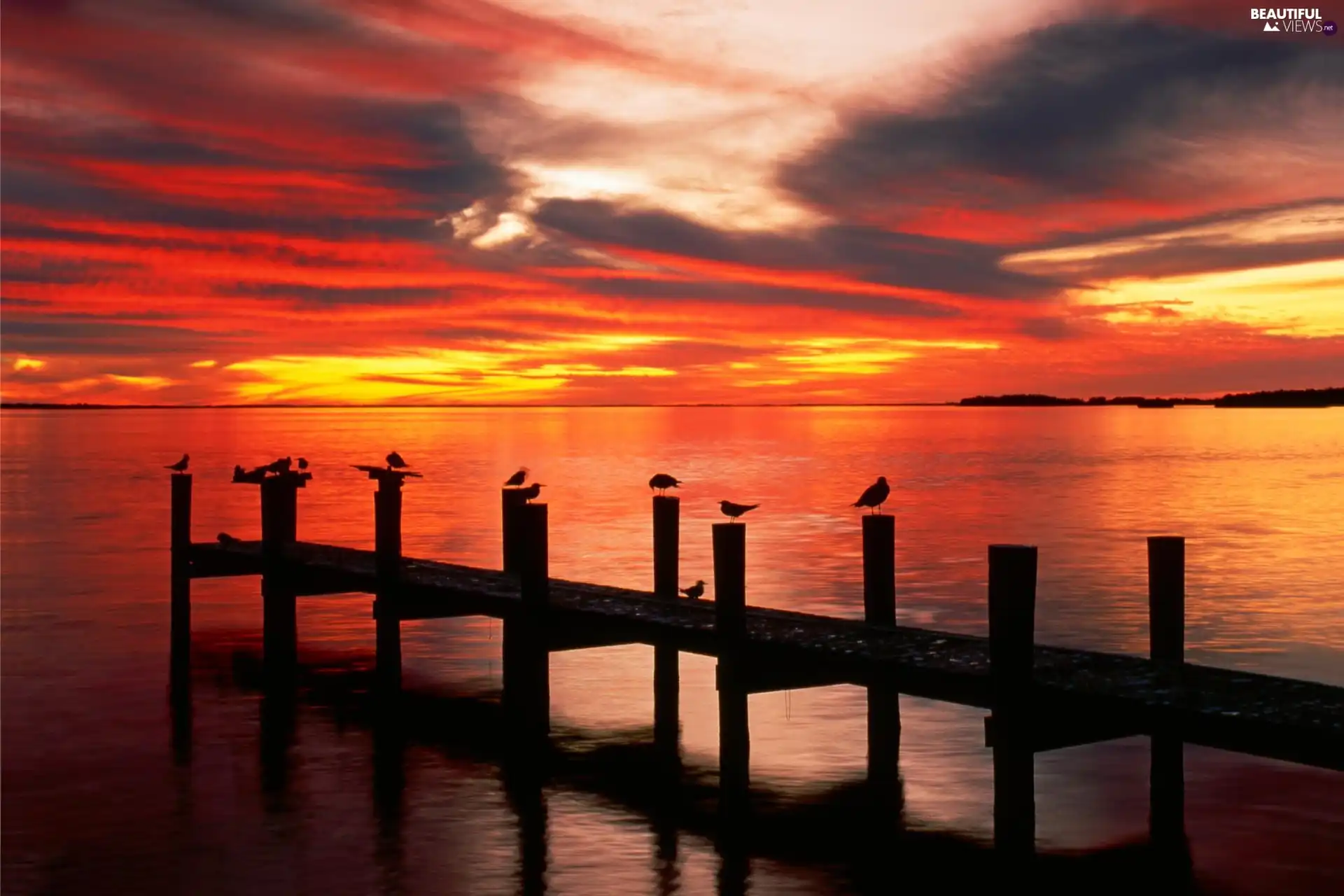 west, lake, birds, sun