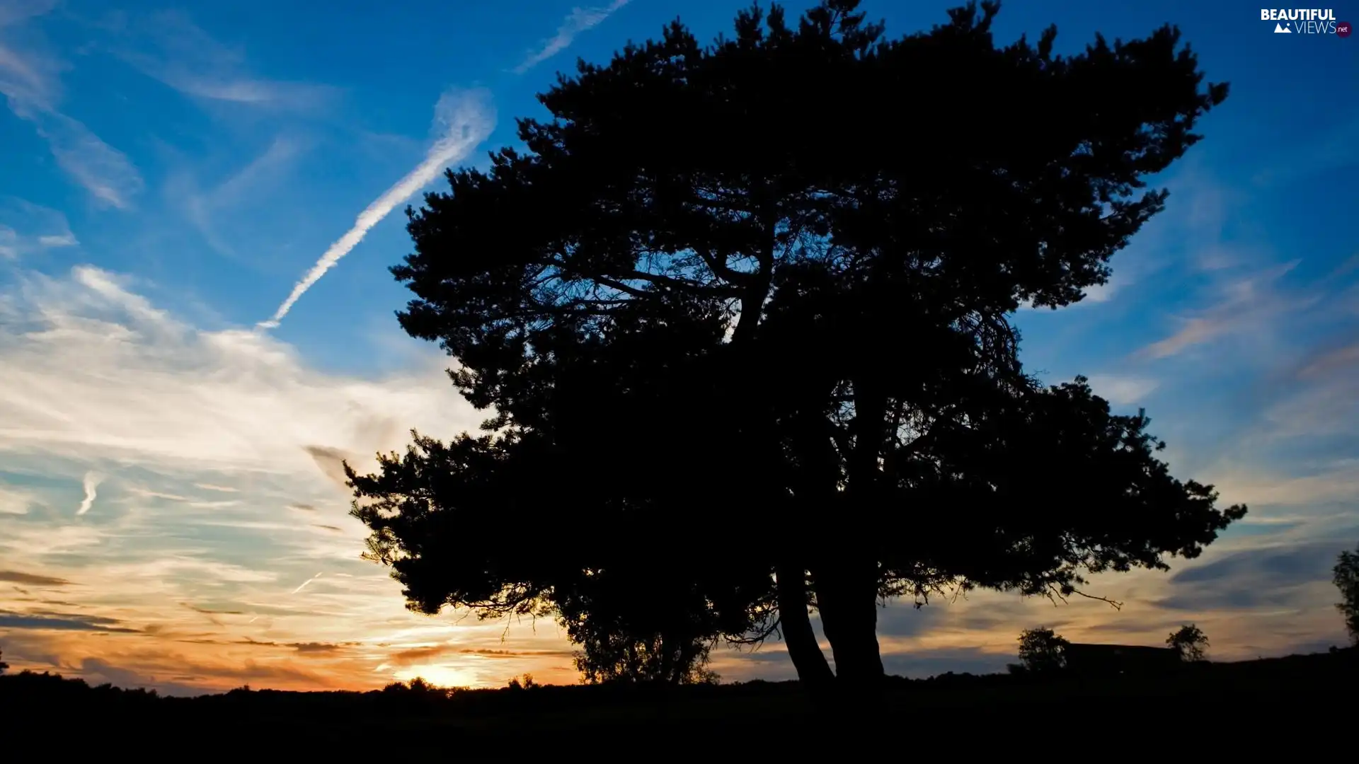 blue, Sky, sun, orange, west