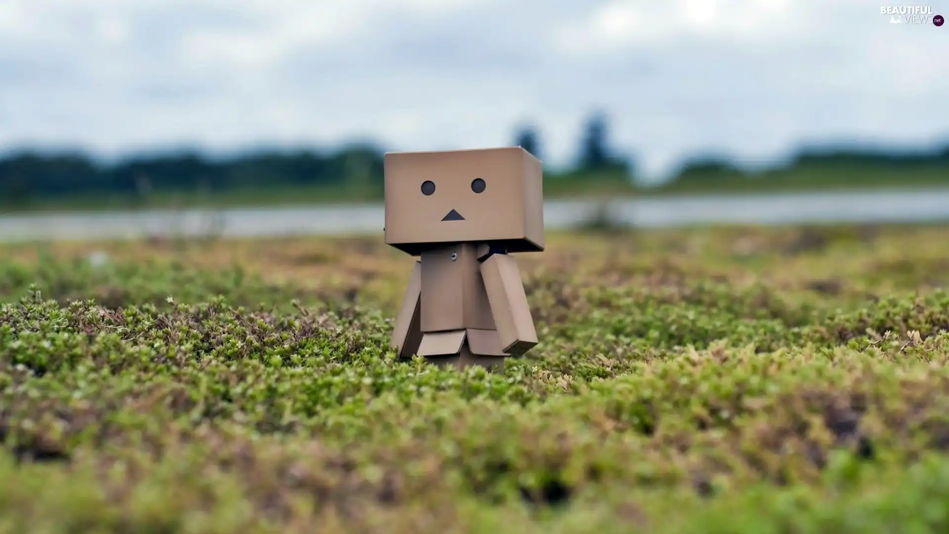 blur, Meadow, Danbo