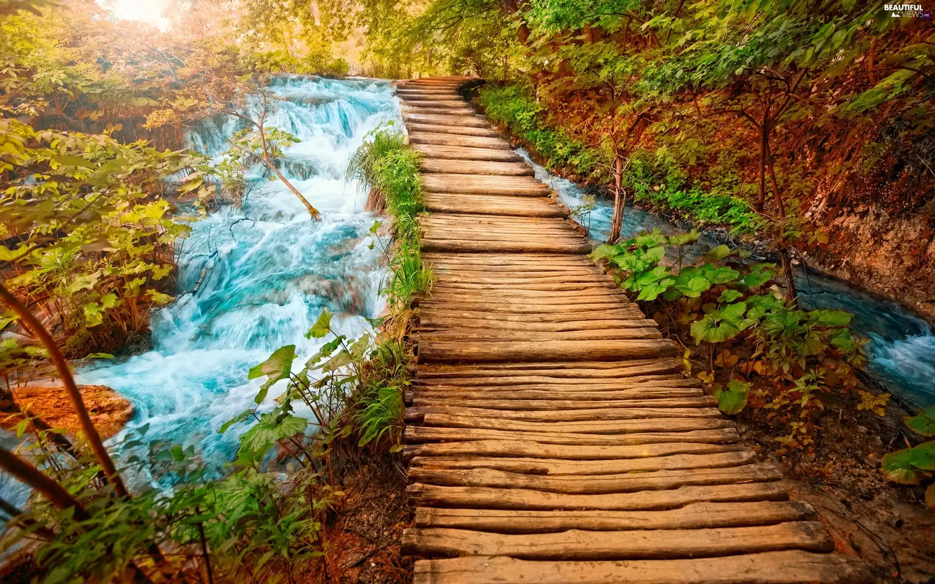 boarding, River, bridges