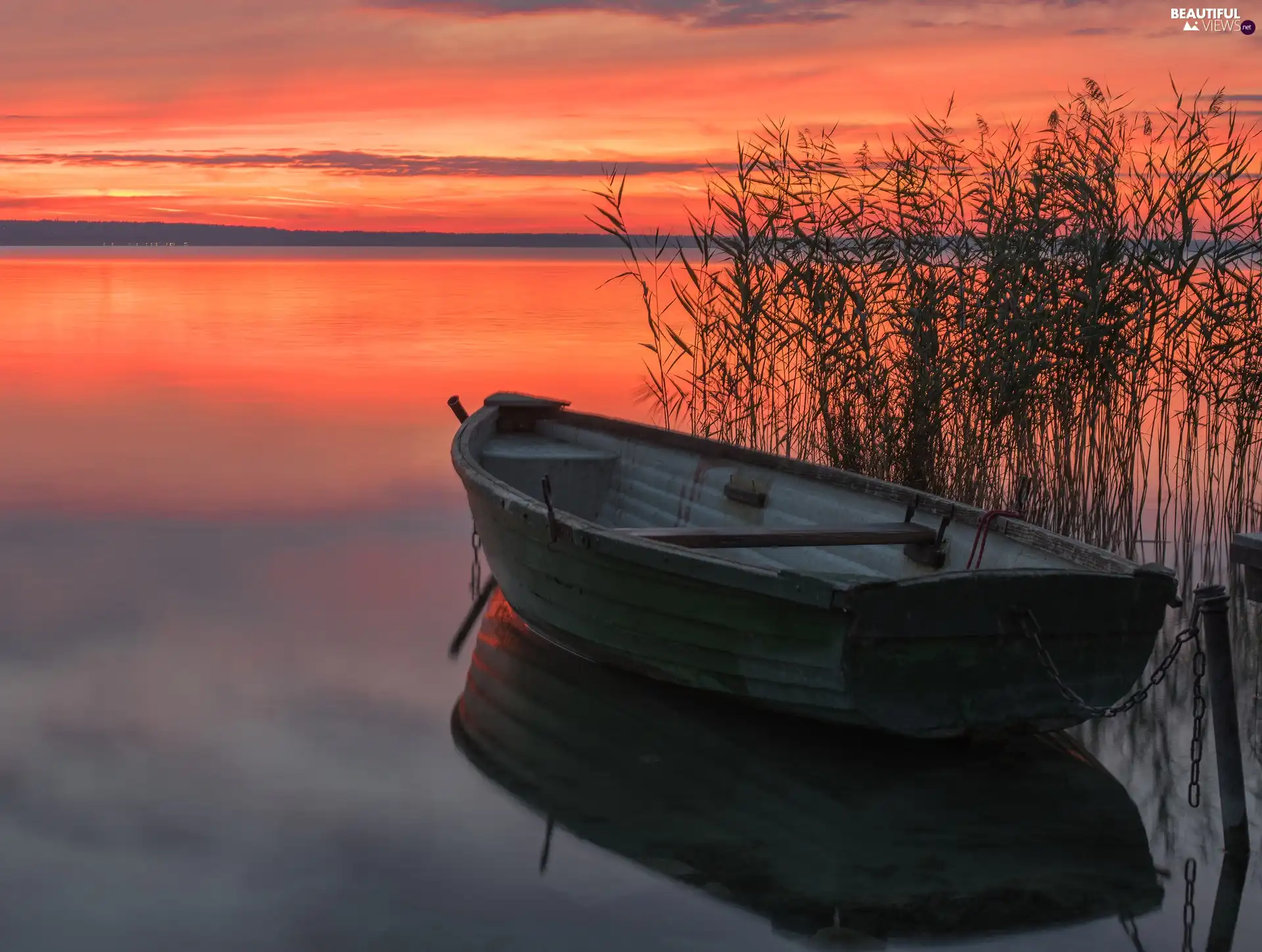 rushes, Great Sunsets, Boat, grass, lake