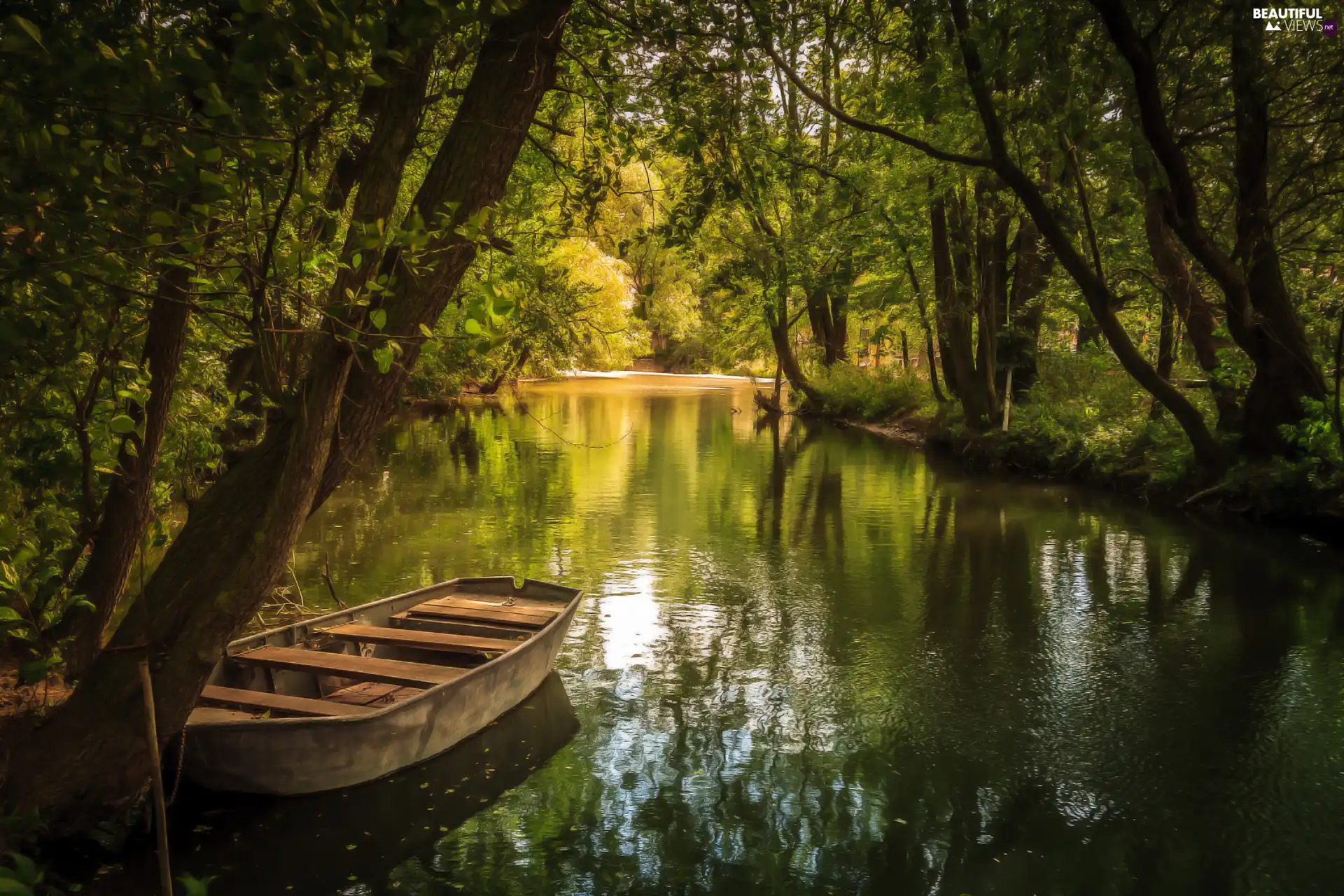 River, viewes, Boat, trees