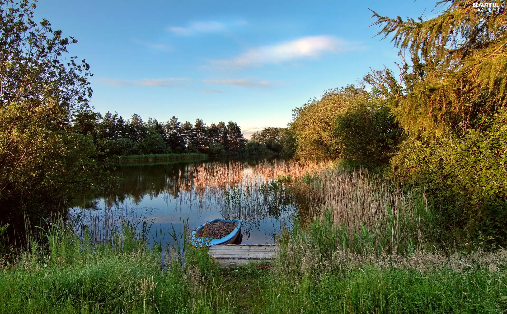 Boat, lake, rushes