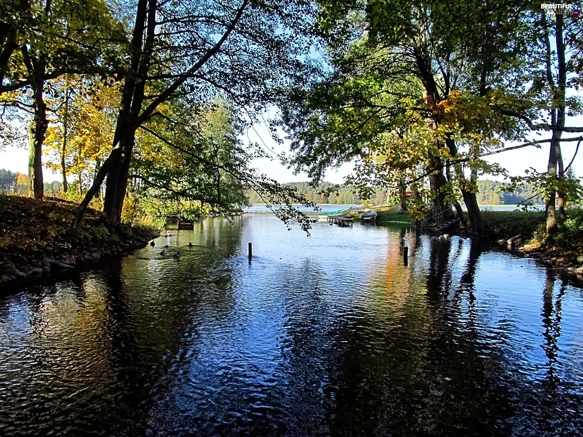 boats, autumn, trees, viewes, River