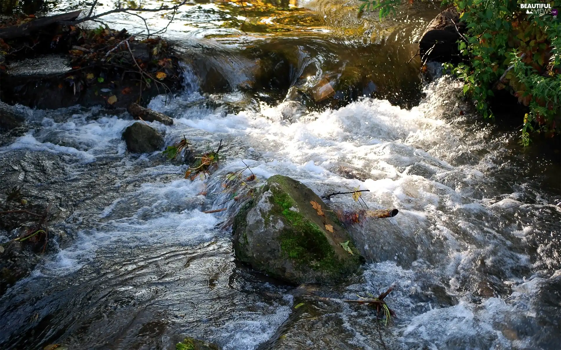 tear, Stones, branch pics, River