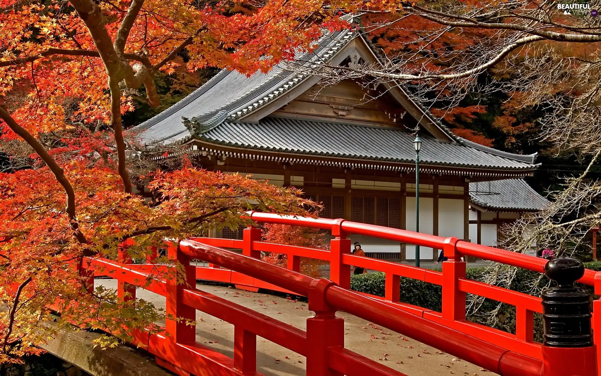 bridges, autumn, Buldings, Red, Asian