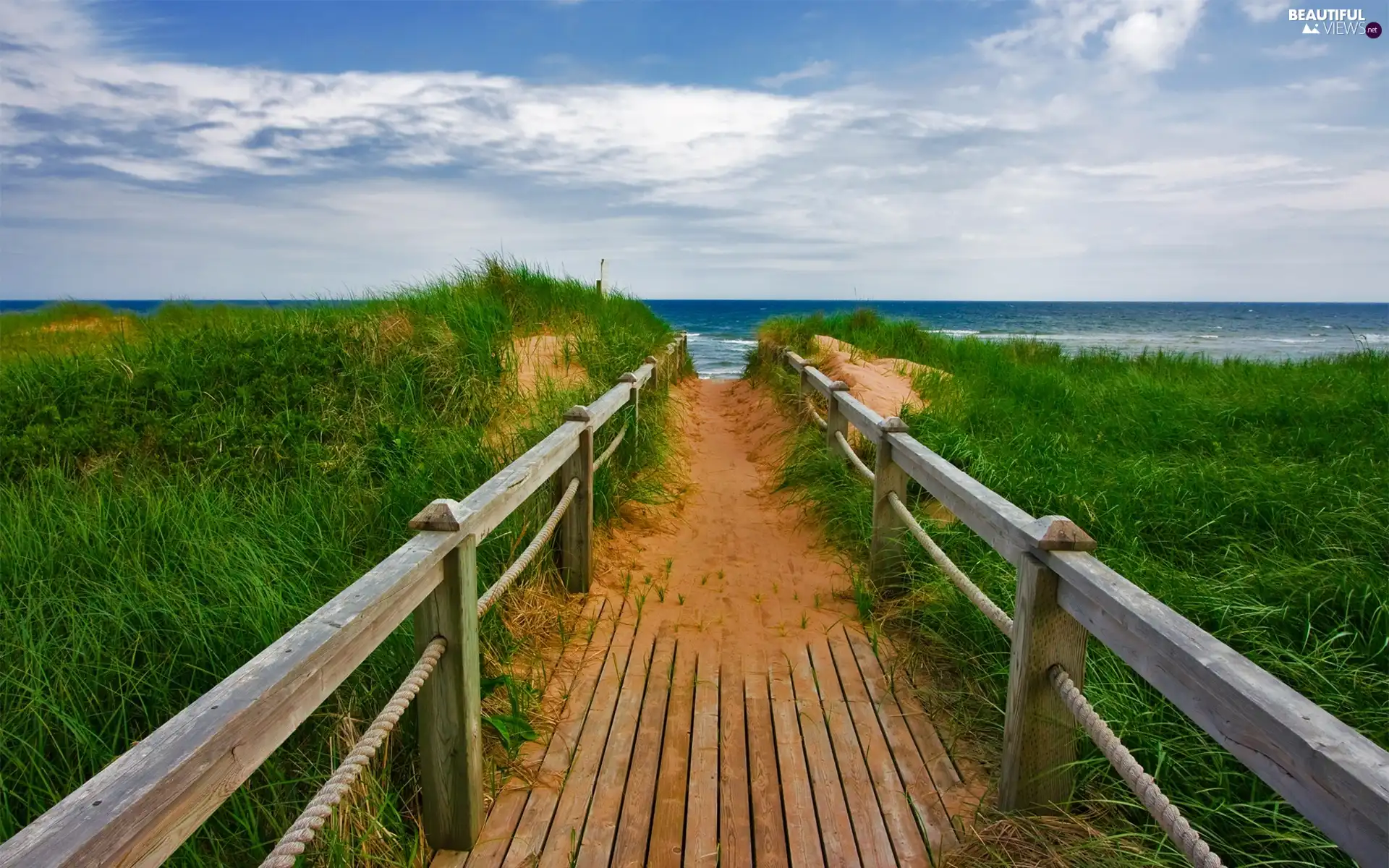 bridges, sea, grass