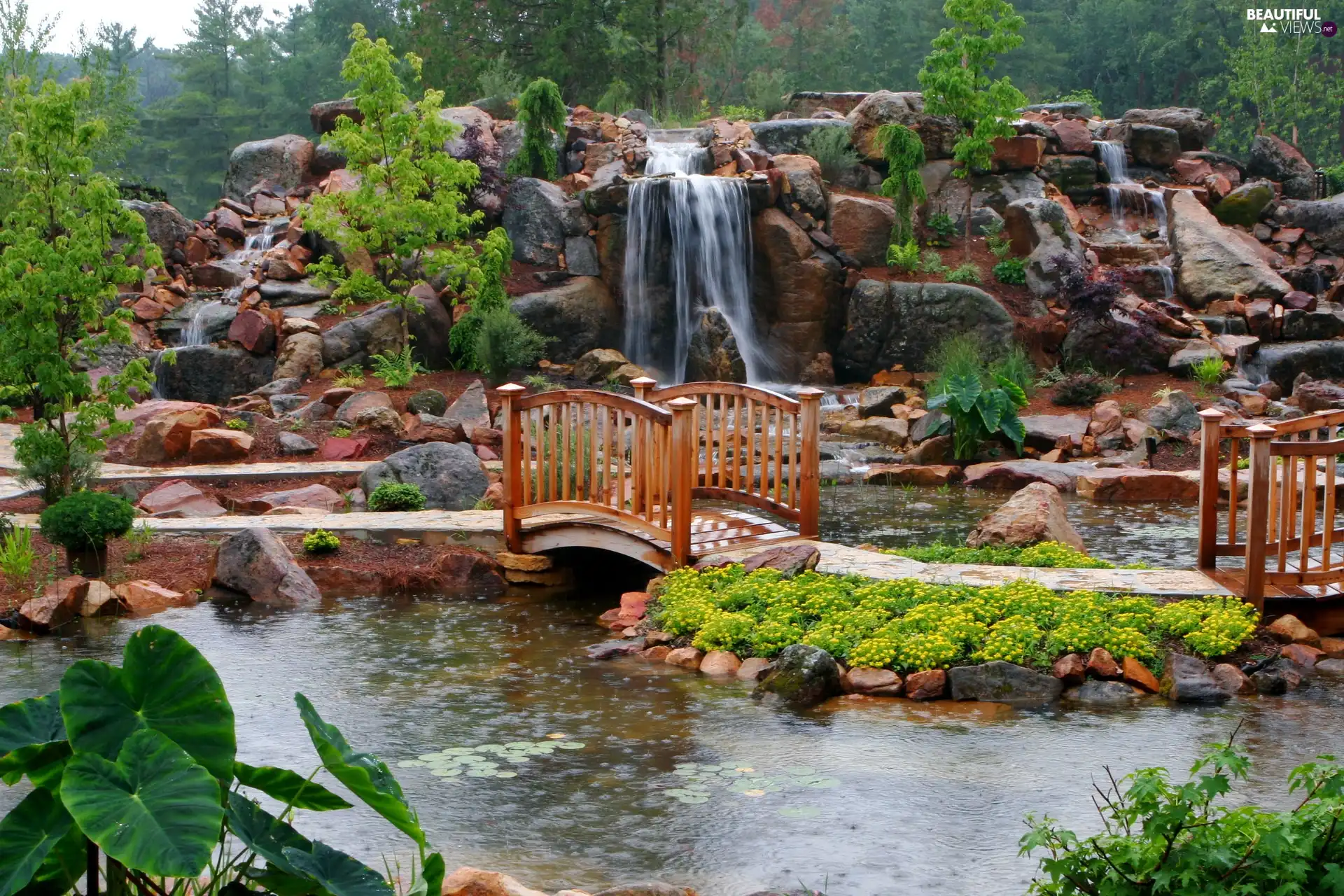 Park, waterfall, bridges, brook