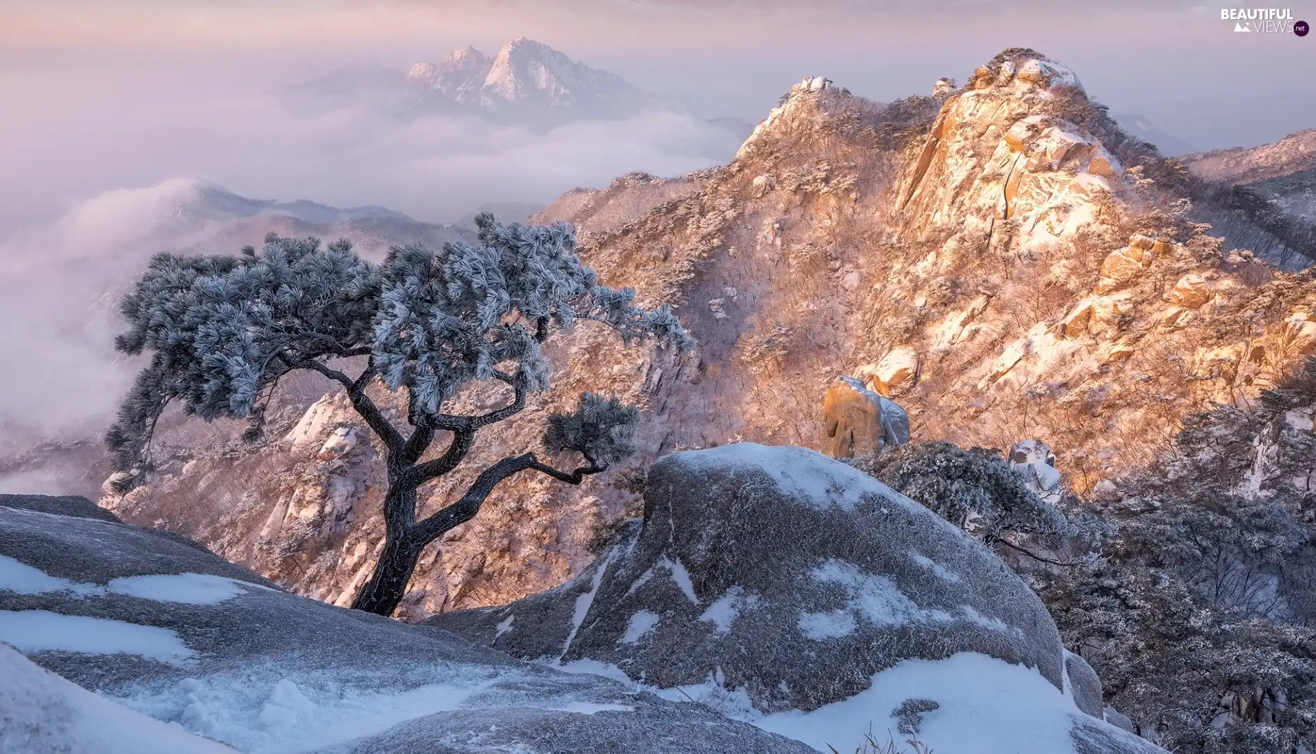 trees, Mountains, Snowy, Gyeonggi-do Province, rocks, Bukhansan National Park, winter, South Korea, pine, Stones