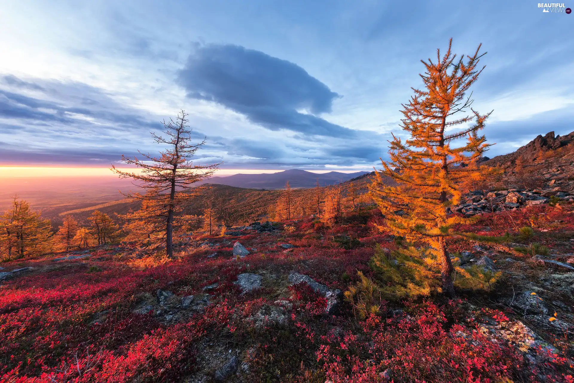 trees, autumn, rocks, Bush, Mountains, viewes, Stones