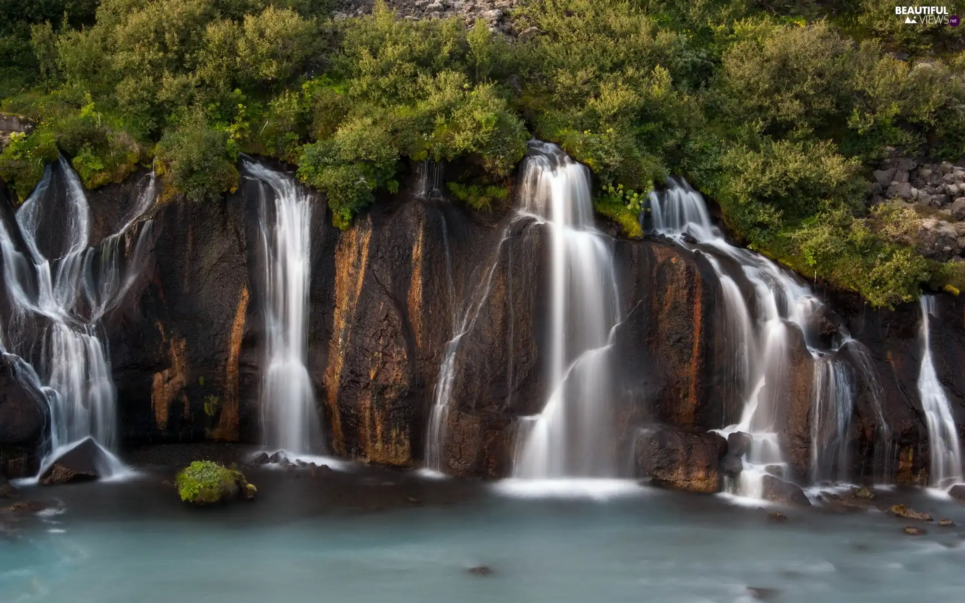 Bush, waterfall, rocks