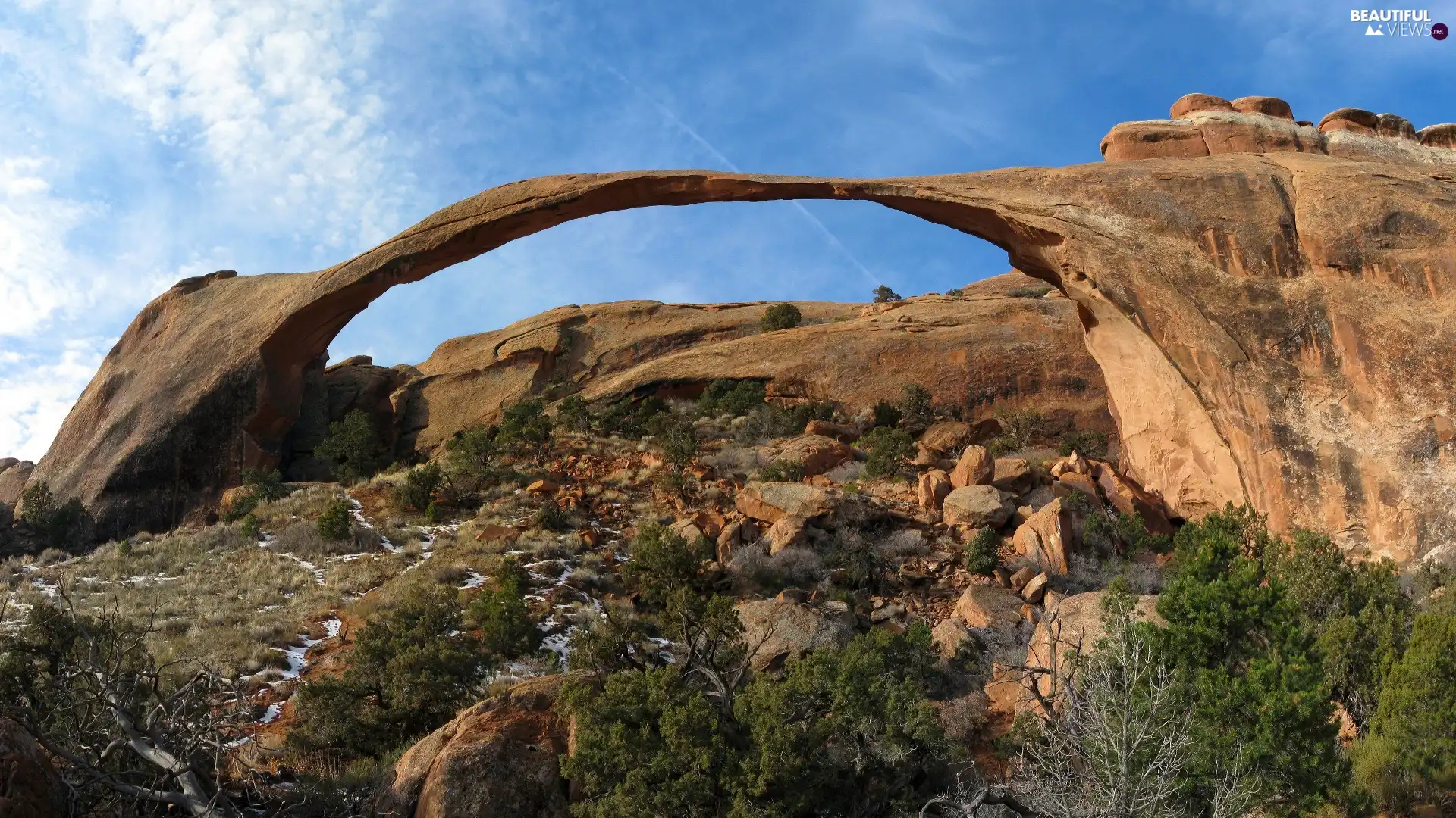 Bush, Sky, Bow, rocky, rocks