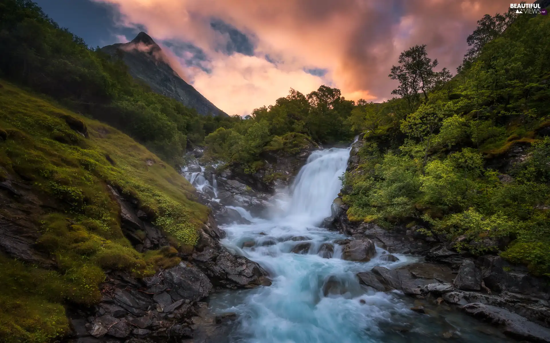 rocks, Mountains, viewes, Plants, trees, waterfall, River, Bush