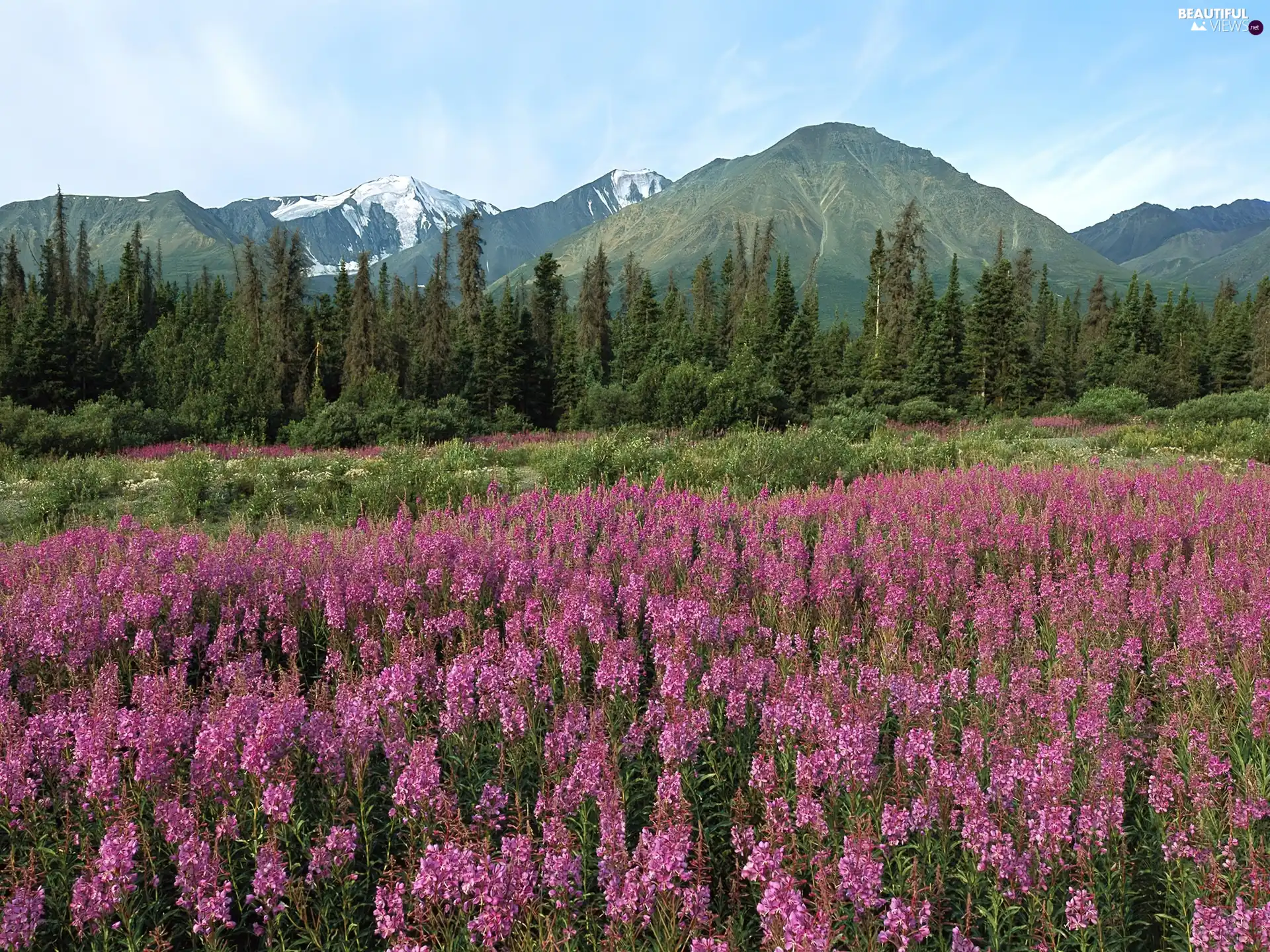 Mountains, Canada