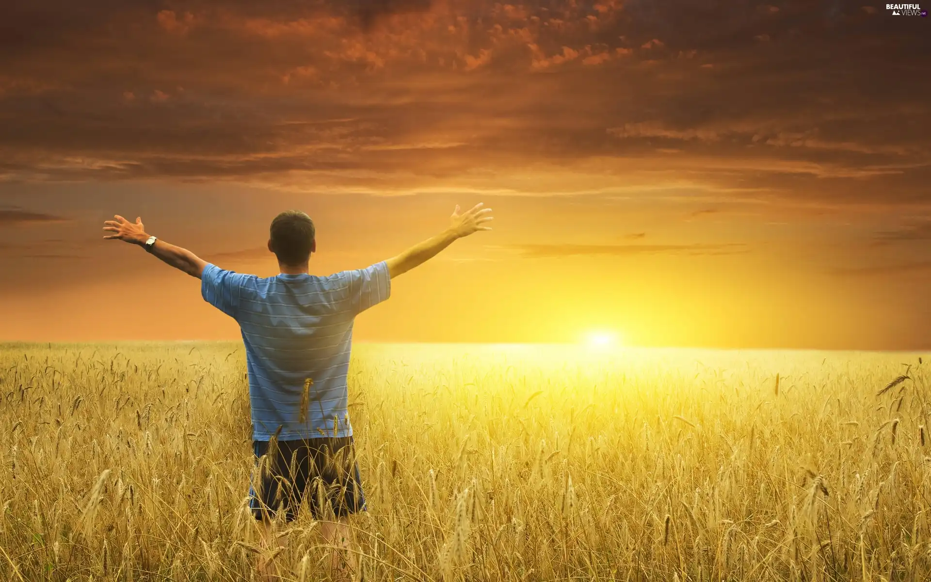 cereals, a man, sun, clouds, west