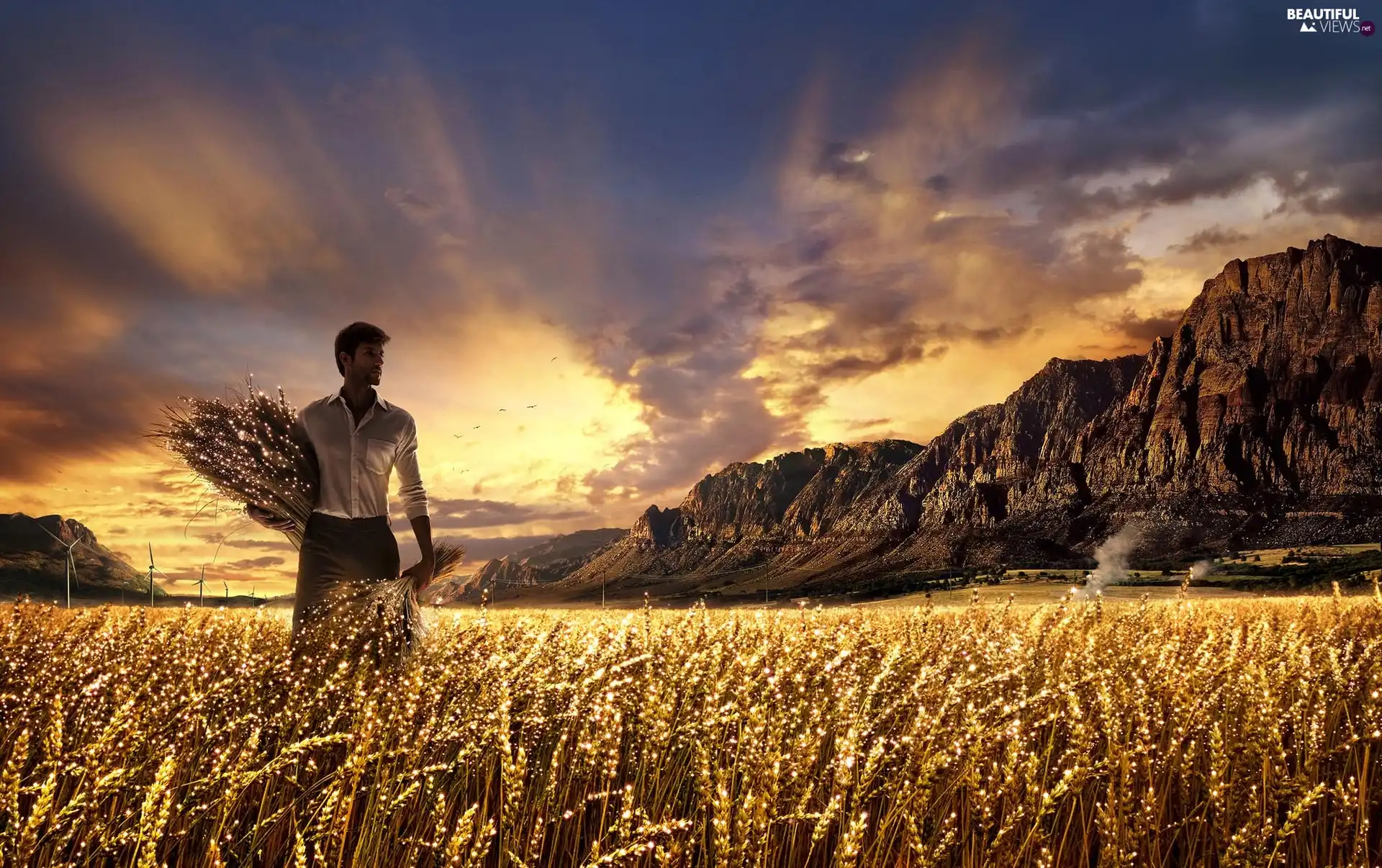 cereals, a man, sun, rocks, west